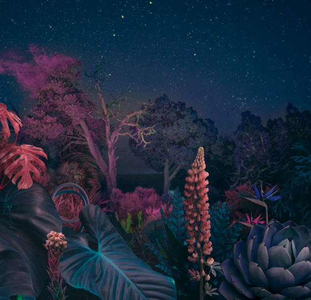bosque nocturno surrealista - surrealismo fotografías e imágenes de stock