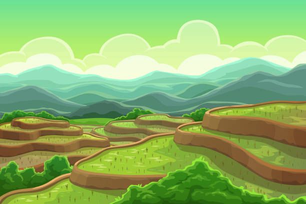 perkebunan sawah, lanskap bertingkat gunung - paddy ilustrasi stok