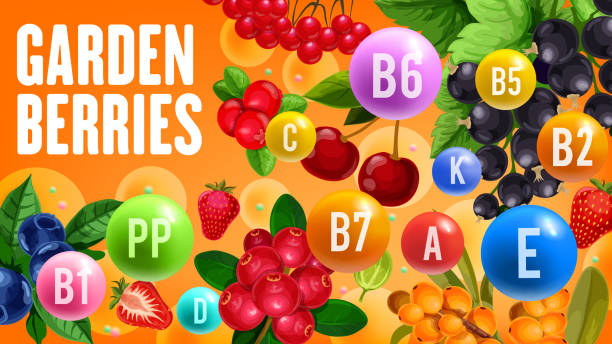 ilustraciones, imágenes clip art, dibujos animados e iconos de stock de vitaminas saludables en frutas de bayas de jardín orgánicas - strawberry vitamin pill food and drink image