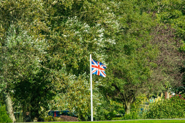 istock Union Jack GB flag against trees 1176099654