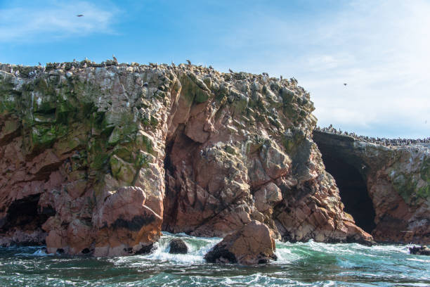 wyspy ballestas na oceanie spokojnym w paracas (peru) - ice texture zdjęcia i obrazy z banku zdjęć