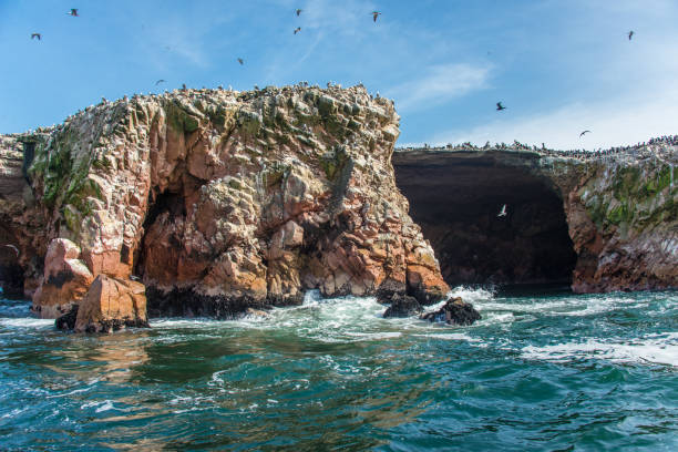 Ballestas Islands in the Pacific Ocean in Paracas (Peru)