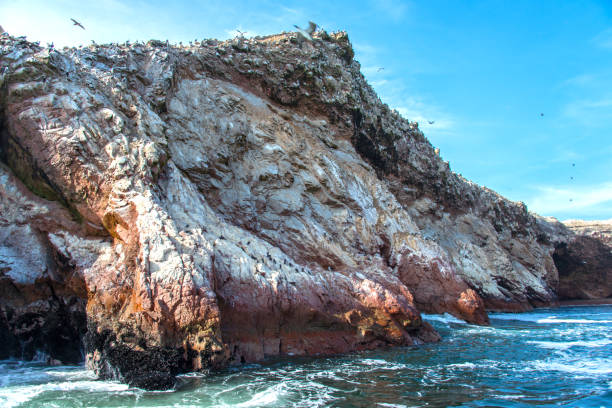 istock Ballestas Islands in the Pacific Ocean in Paracas (Peru) 1176100988