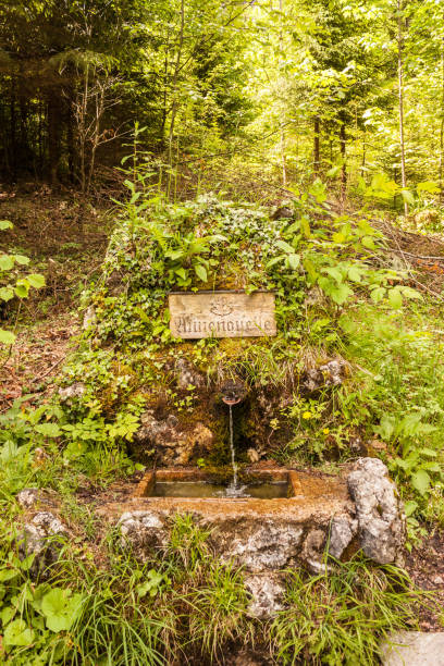 Natural mountain water spring in austrian alps