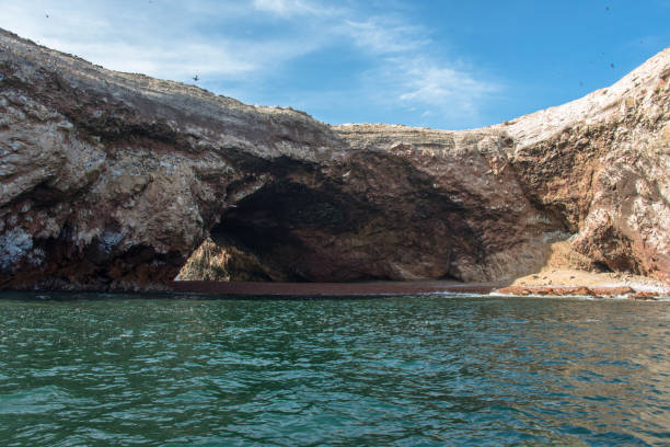 wyspy ballestas na oceanie spokojnym w paracas (peru) - ice texture zdjęcia i obrazy z banku zdjęć