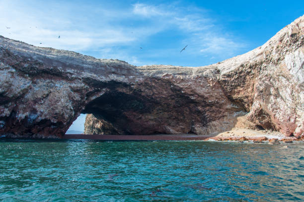 istock Ballestas Islands in the Pacific Ocean in Paracas (Peru) 1176101344