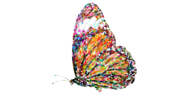 orange butterfly. isolated on white background