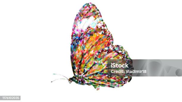 Tropical Orange Butterfly Isolated On White Background Stock Photo - Download Image Now