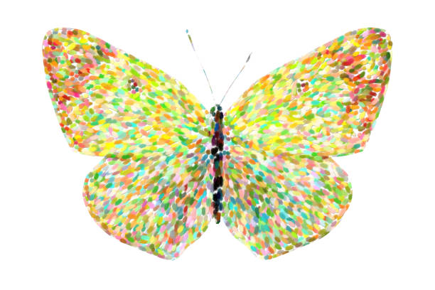 istock tropical yellow butterfly. isolated on white background 1176102038