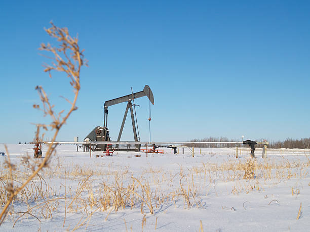 istock Black Oil Well Pumpjack in Winter 117610208