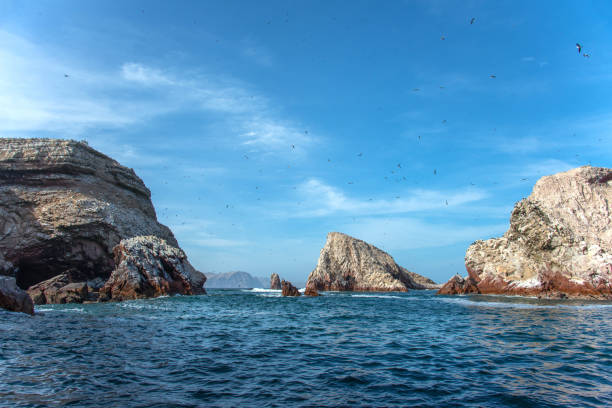 wyspy ballestas na oceanie spokojnym w paracas (peru) - ice texture zdjęcia i obrazy z banku zdjęć