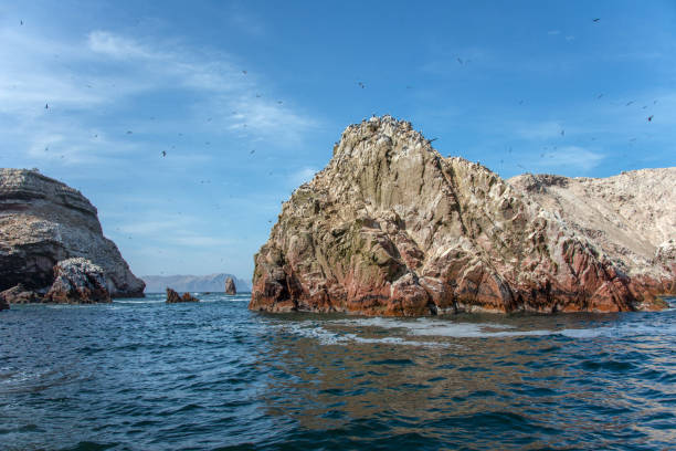 wyspy ballestas na oceanie spokojnym w paracas (peru) - ice texture zdjęcia i obrazy z banku zdjęć