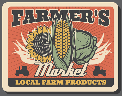 Vegetables of farmers market retro poster with vector cabbage, corn, sunflower and tractors. Fresh food products and veggies of local farms, agriculture and organic farming design
