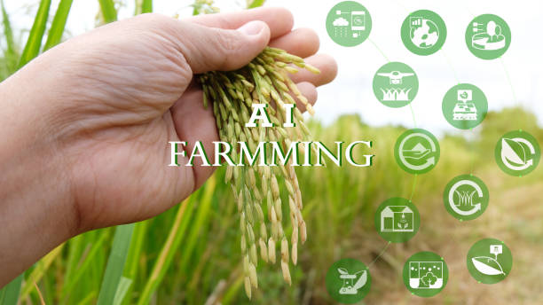 istock Smart farming,industrial agriculture concept with artificial intelligence(ai), Farmer use robot and augmented reality technology to research, collect,control ,monitor and management in the field 1176104265