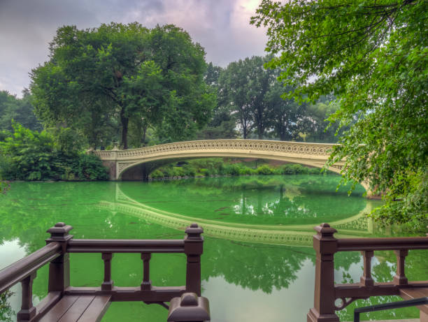istock Bow bridge in early morning in the summer 1176104273