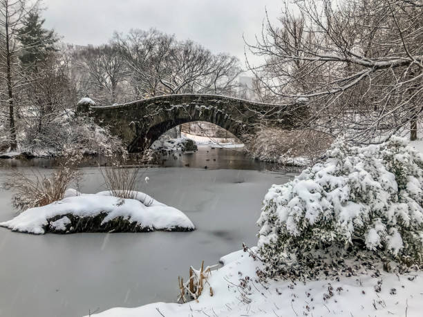 istock Gapstow Bridge in Central Park 1176104290