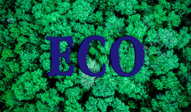 istock saving the planet concept, eco word text on the nature trees and leaves background 1176104400
