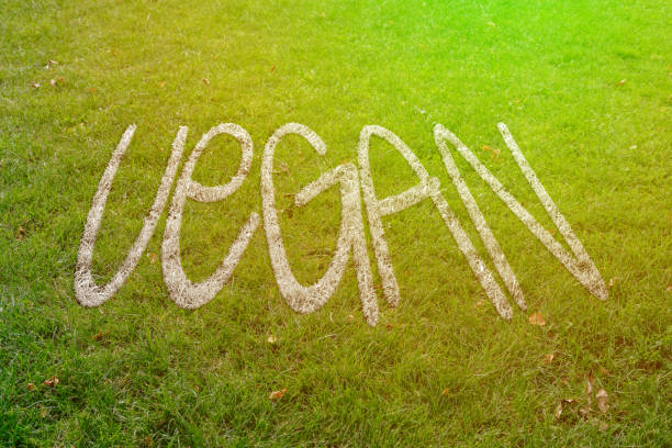 istock vegan word text drawn on  grass, eco healthy products concept 1176105270