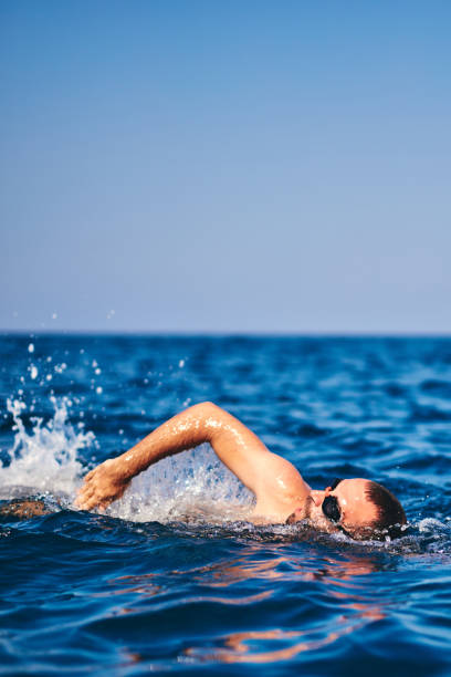 istock Swimmer training on the open sea / ocean. 1176107329