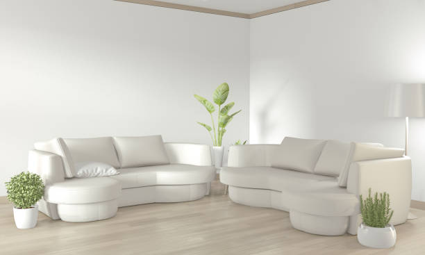 床の木製の白いソファと装飾植物と白いリビングルーム.3Dレンダリング