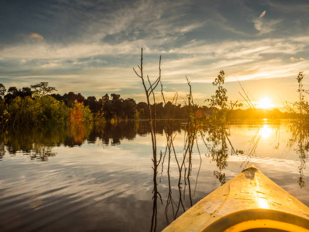 amazonas - photo album photo corner photography photograph stock-fotos und bilder