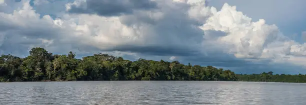 Sunset view of Coati Lagoon near the Javari River, the tributary of the Amazon River, Amazonia. Selva on the border of Brazil and Peru. South America.