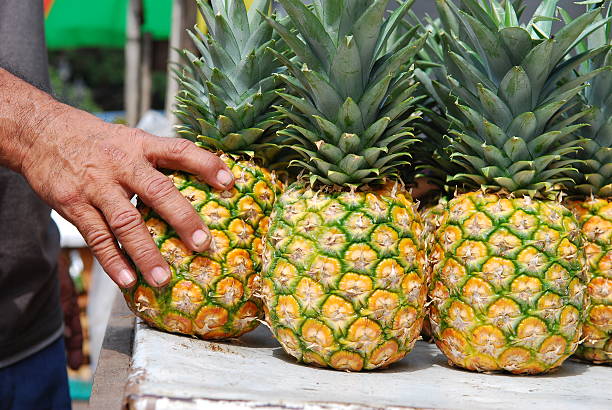 istock Pineapples in Market 117612427
