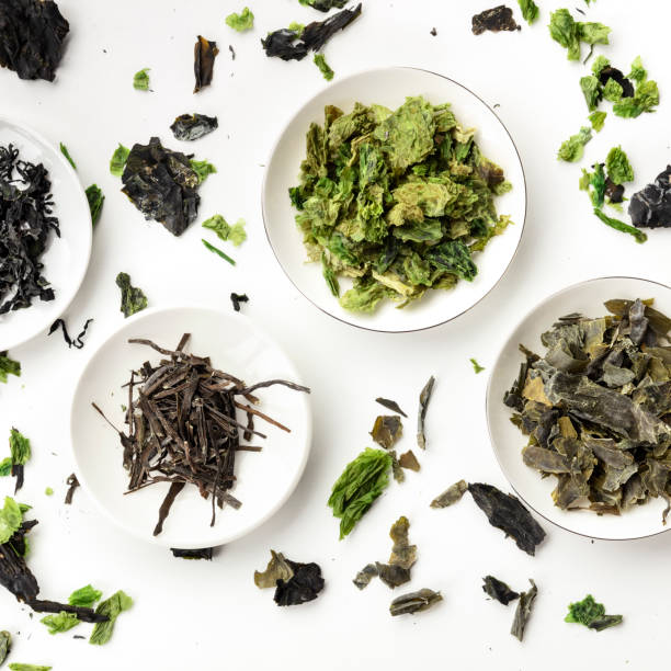 istock Various dry seaweed, sea vegetables, square overhead shot on a white background 1176125280