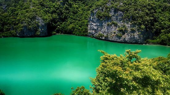 Idyllic Green Lake