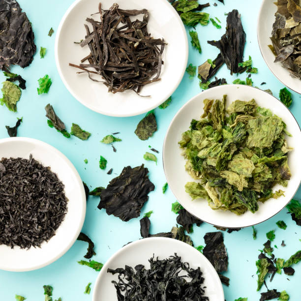 istock Various dry seaweed, sea vegetables, square overhead shot on a teal background 1176125747