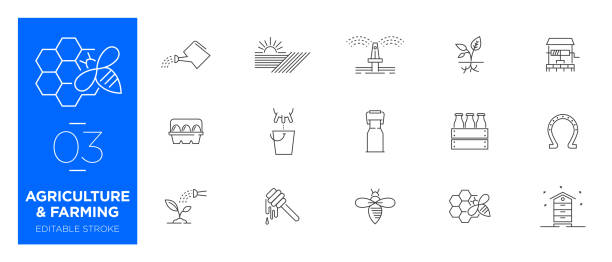 Set of Agriculture and Farming line icons - Modern icons Set of Agriculture and Farming line icons - Modern icons bee water stock illustrations