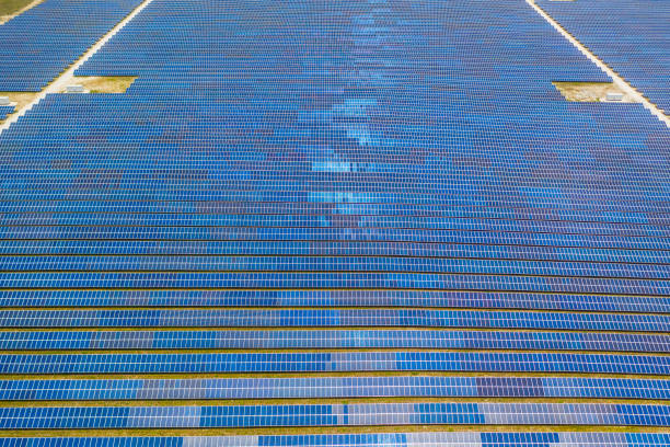 istock Solar Panels in a Field in Northern Florida. 1176135911