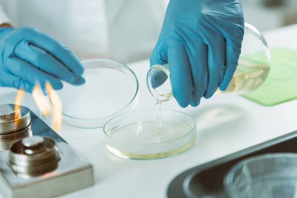 istock Microbiology. Hands of a microbiologist pouring agar into a petri dish 1176136709