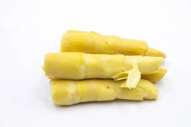 Bamboo shoots isolated in white background