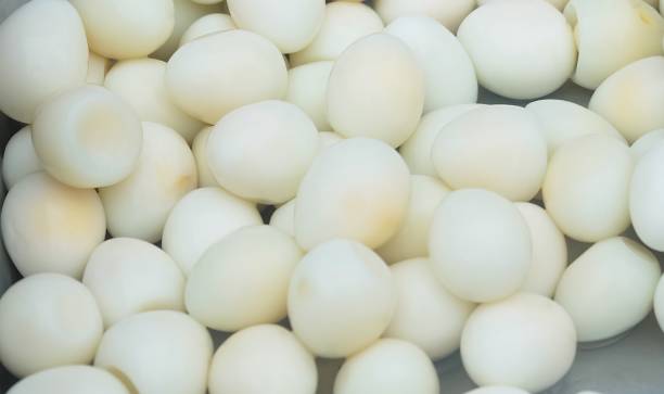istock Close Up of Delicious Boiled Quail Eggs 1176138591
