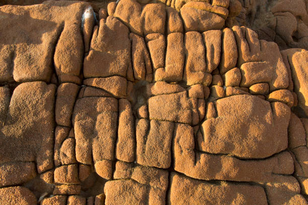 istock Close up old rock or stone texture, nature background. 1176139984