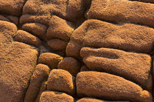 Close up old rock or stone texture, nature background. Geological stones on the sea coast. Horizontal close-up macro shot.