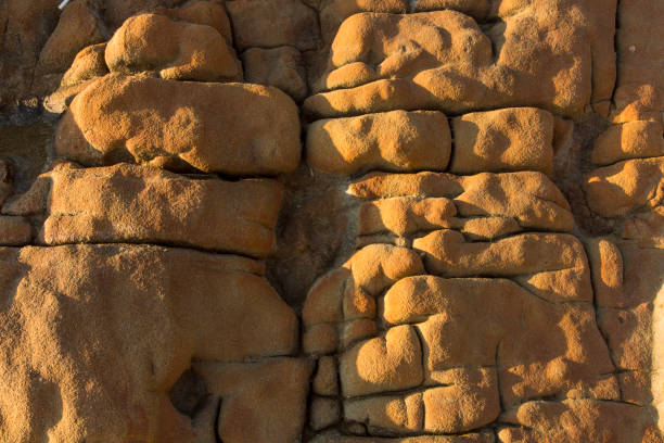 istock Close up old rock or stone texture, nature background. 1176142061