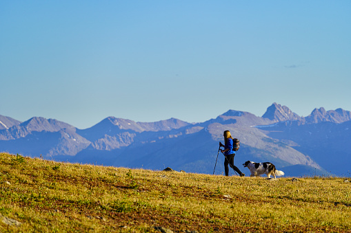 Woman and Dog Hiking Along Ridge with Stunning Mountain Views - Elk Mountains backdrop with female hiker and her dog hiking high on mountain ridge in sunny clear weather.