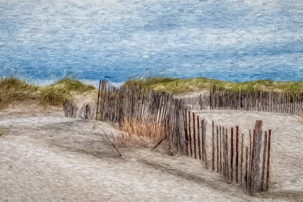 istock Beach Life and Sea Oats in Dunes 1176146072