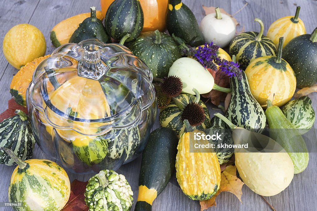 Abóbora e Gourds pote - Foto de stock de Alimentação Saudável royalty-free