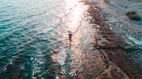 Horse rider on the beach aerial view