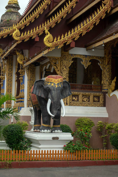 istock Elephant statue, Wat Saen Muang Ma Luang, Chiang Mai, Thailand 1176147383