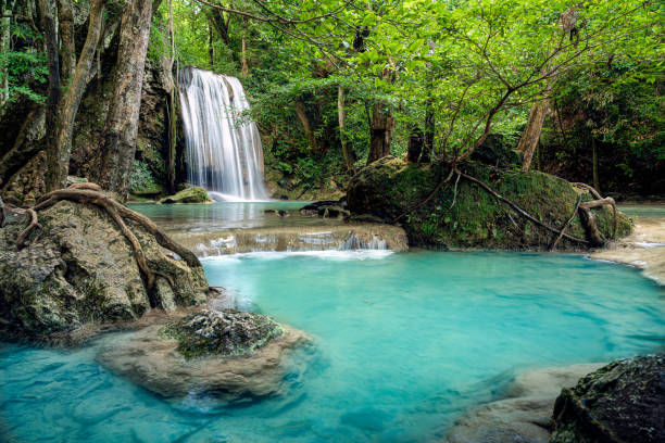 la chute d'eau d'erawan dans le parc national d'erawan dans la province de kanchanaburi, thaïlande. c'est une chute d'eau bleue claire célèbre en thaïlande. - waterfall tropical rainforest erawan thailand photos et images de collection