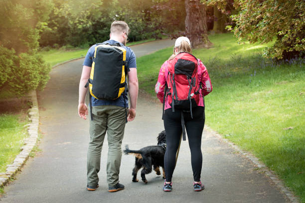 istock Young couple walking in the park with a dog 1176148828