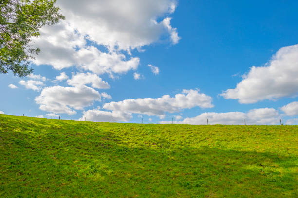 Green meadow below a blue sky in sunlight in autumn
