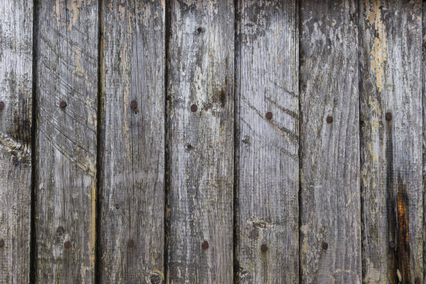 istock Texture of old wooden boards with nails 1176156153