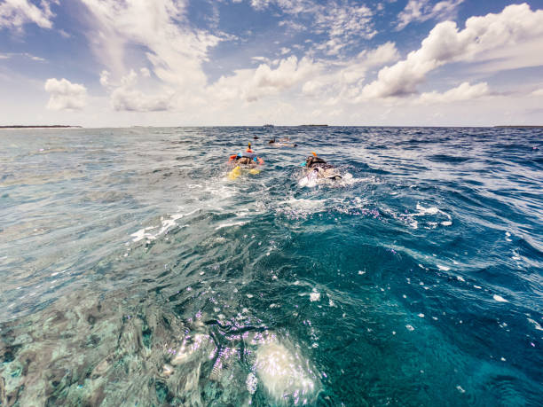 istock Group of people snorkeling together 1176157867
