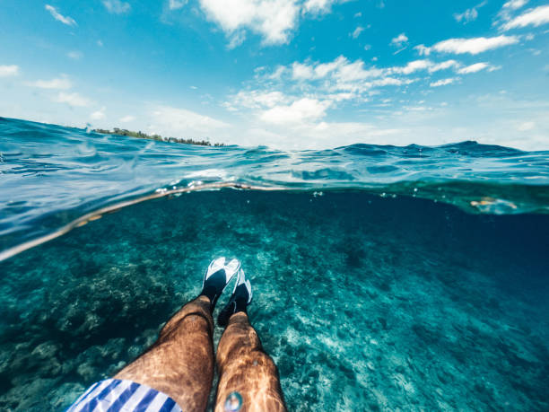 половина подводного фото - pov вид ног с плавниками в райском море на мальдивах - water divide стоковые фото и изображения