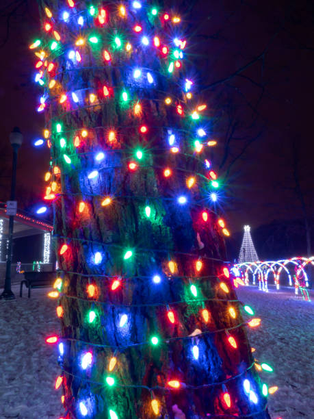 istock Multicolored LED Christmas string lights wrap the trunk of a tree with arched walkways in the background at a holiday lights festival display. 1176158503
